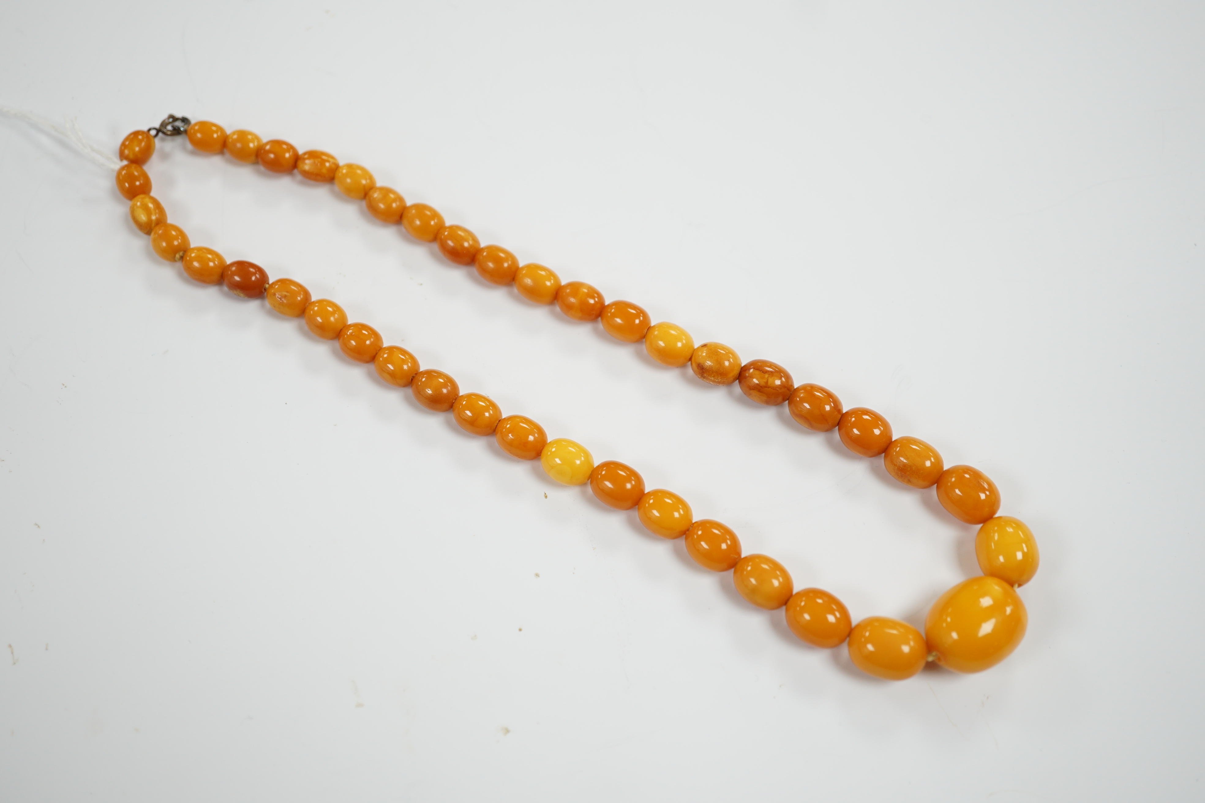 A single strand graduated oval amber bead necklace, 42cm, gross 21 grams.